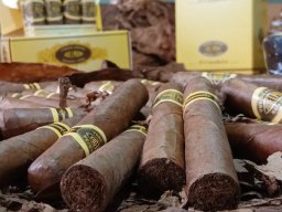 Tabacos de Holguín 09